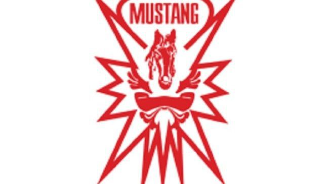 Hotel Mustang Vaqarr โลโก้ รูปภาพ